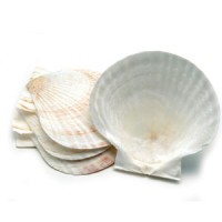 Browne Baking Shell Natural